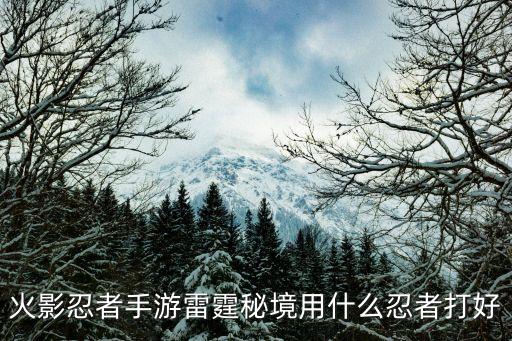火影忍者手游雷霆秘境用什么忍者打好