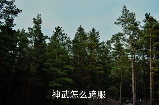 神武怎么跨服