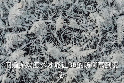 问道游戏怎么才能让BB的防御高到变态