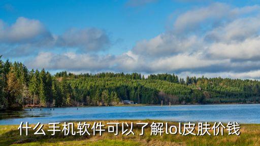 lol手游已有的皮肤怎么看价格，什么手机软件可以了解lol皮肤价钱