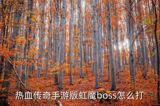 热血传奇手游版虹魔boss怎么打