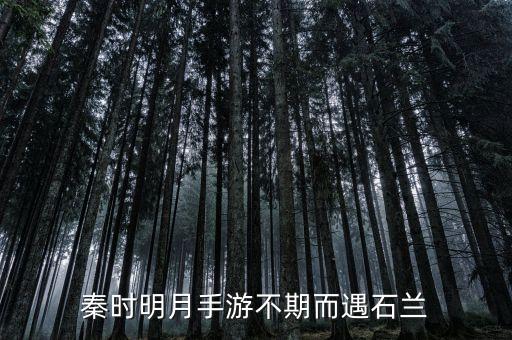 秦时明月手游不期而遇石兰