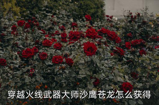 穿越火线武器大师沙鹰苍龙怎么获得