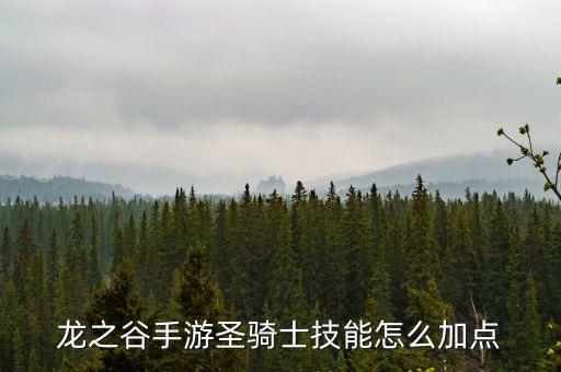龙之谷手游圣骑士技能怎么加点