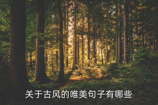关于古风的唯美句子有哪些