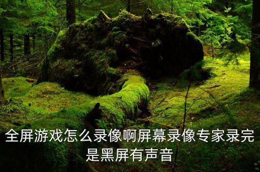全屏游戏怎么录像啊屏幕录像专家录完是黑屏有声音