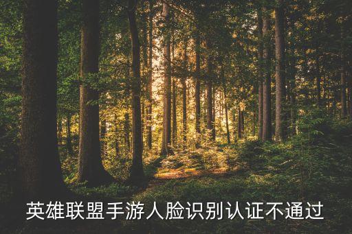 英雄联盟手游人脸识别认证不通过