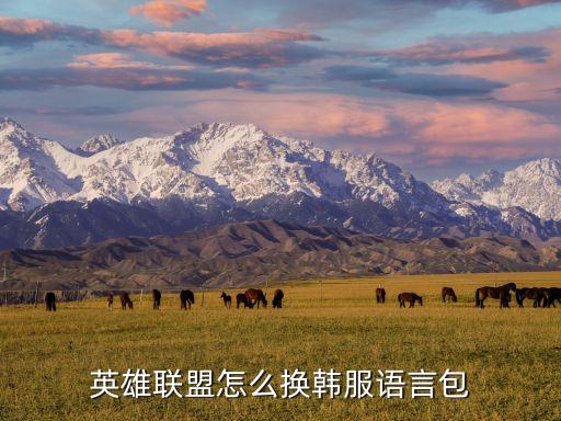 英雄联盟怎么换韩服语言包