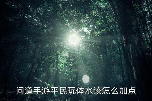 问道手游平民玩体水该怎么加点