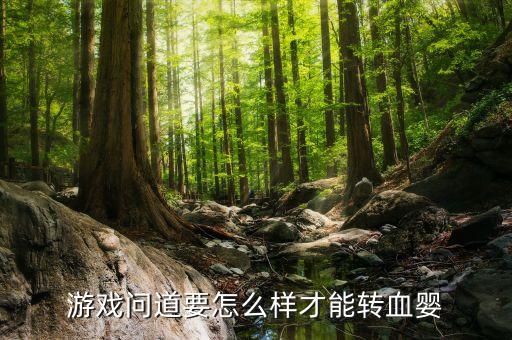 游戏问道要怎么样才能转血婴
