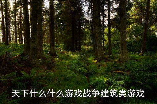 天下什么什么游戏战争建筑类游戏
