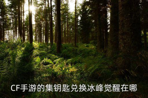 CF手游的集钥匙兑换冰峰觉醒在哪