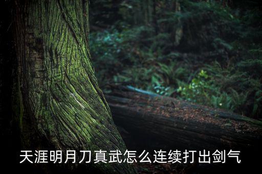 天涯明月刀真武怎么连续打出剑气