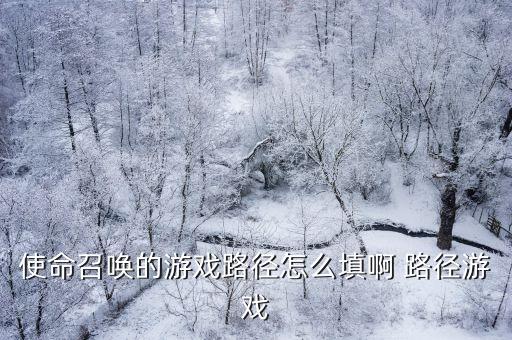 使命召唤手游霍尔格怎么解锁，使命召唤手游角色幽灵现在还可以获得吗