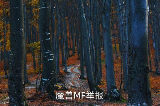 魔兽MF举报