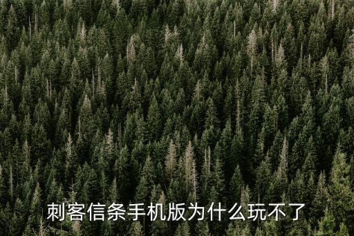 刺客信条手机版为什么玩不了