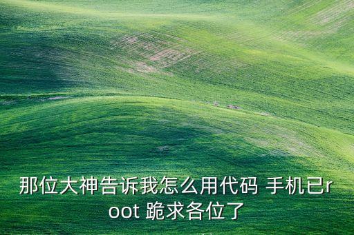 那位大神告诉我怎么用代码 手机已root 跪求各位了