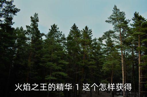 火焰之王的精华 1 这个怎样获得