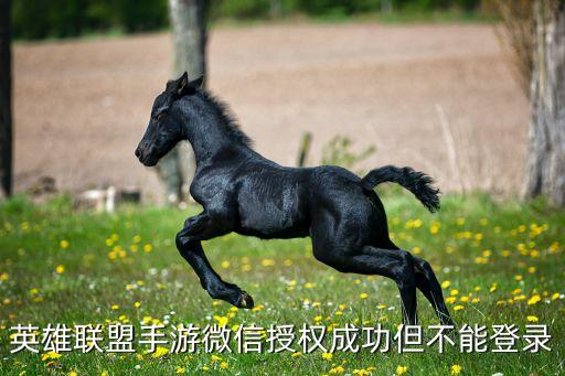 英雄联盟手游重新授权怎么弄，英雄联盟手游微信授权成功后登录不了