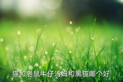 猫和老鼠牛仔汤姆和黑猫哪个好