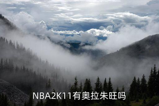 NBA2K11有奥拉朱旺吗