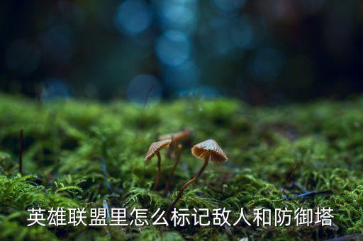 英雄联盟里怎么标记敌人和防御塔