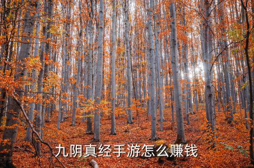 九阴真经手游怎么赚钱