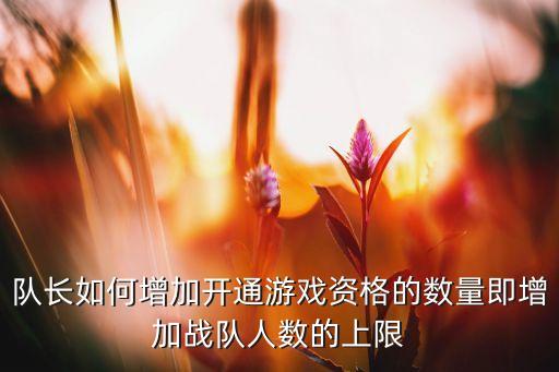 队长如何增加开通游戏资格的数量即增加战队人数的上限