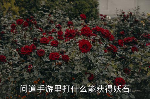 问道手游里打什么能获得妖石