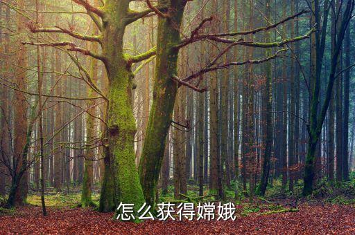 怎么获得嫦娥