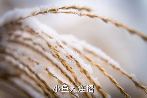小鱼人连招