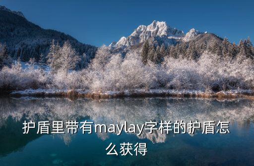 护盾里带有maylay字样的护盾怎么获得