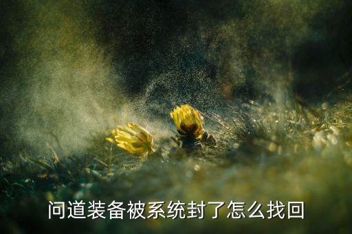 问道装备被系统封了怎么找回