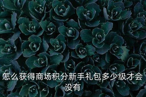 阿拉德冒险手游商城积分怎么获得，怎么获得商场积分新手礼包多少级才会没有