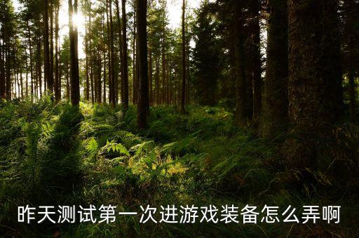 昨天测试第一次进游戏装备怎么弄啊