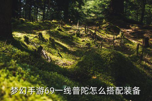梦幻手游69一线普陀怎么搭配装备