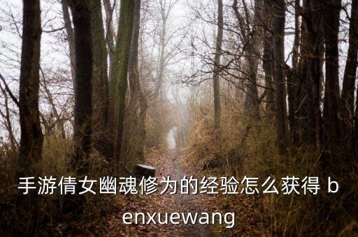 手游倩女幽魂修为的经验怎么获得 benxuewang