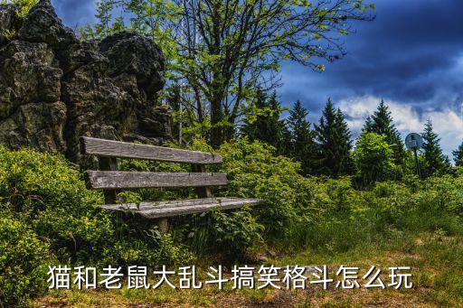 猫和老鼠正式服手游怎么玩，猫鼠游戏规则介绍