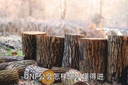 DNF公会怎样踢人懂得进