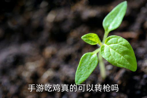 手游吃鸡真的可以转枪吗