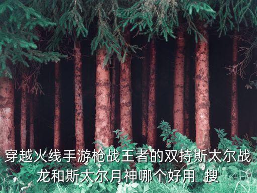 穿越火线手游枪战王者的双持斯太尔战龙和斯太尔月神哪个好用  搜