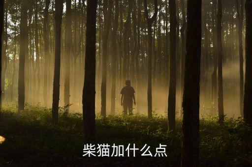 诛仙手游可爱柴柴宠物怎么加点，柴猫宝宝怎么样点潜能