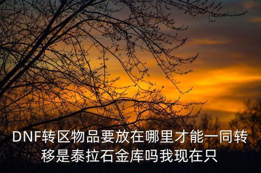 DNF转区物品要放在哪里才能一同转移是泰拉石金库吗我现在只