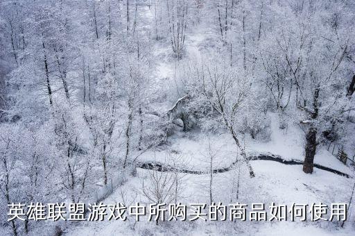 英雄联盟游戏中所购买的商品如何使用