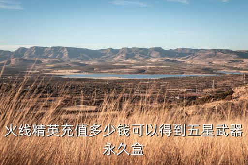 火线精英充值多少钱可以得到五星武器永久盒