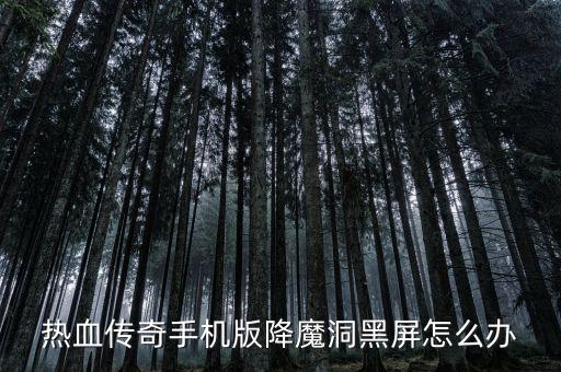 热血传奇手机版降魔洞黑屏怎么办
