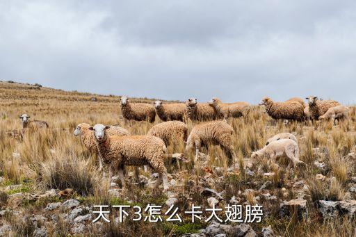 天下3怎么卡大翅膀