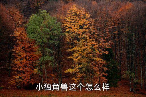 小独角兽这个怎么样