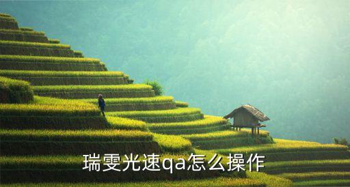 瑞雯光速qa怎么操作