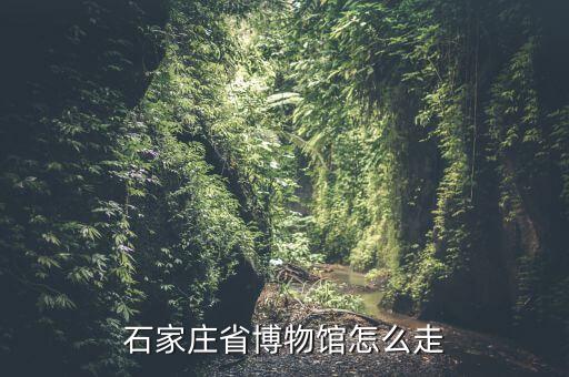 石家庄省博物馆怎么走
